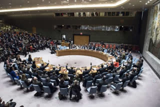 UNSC President Estonia calls Security Council's handling of COVID-19 'a shame'