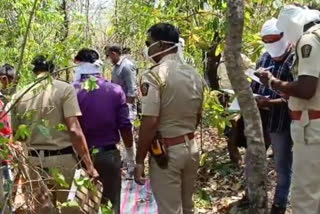 Woman died in tigress attack in Pavni forest area of Bhandara district