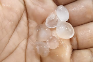 Hailstone rain in Koppal: farmers favors to cultivation