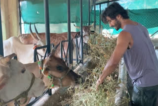 Vidyut Jammwal feeding cows amid lockdown