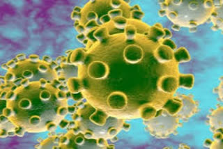 Coronavirus