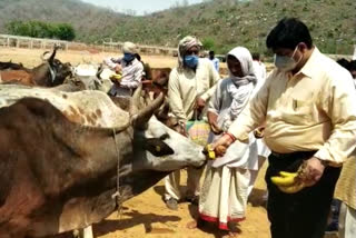 चित्रकूट जिलाधिकारी शेषमणि पांडेय