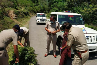 Solan police helped old woman