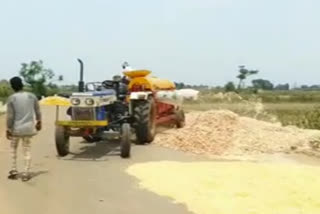 srikakulam farmers keeping food grains on roads