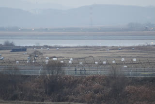 S Korea says troops exchange fire along N Korean border