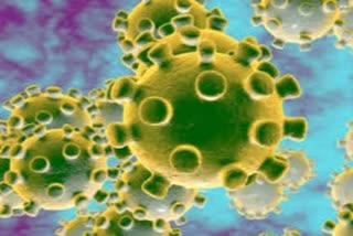 How Coronavirus infects intestine cells decoded
