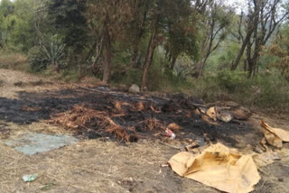 Fire in wheat  crop