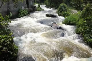 lock down relaxation for panniyar river  panniyar river  പന്നിയാർ പുഴ  ലോക്ക് ഡൗണിൽ പന്നിയാർ പുഴ  പന്നിയാർ പുഴ പൂപ്പാറ  pooppaara shops