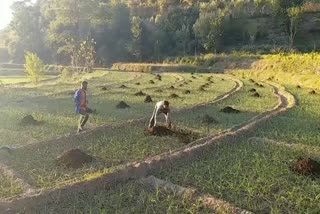 प्रधानमंत्री कृषि सम्मान योजना