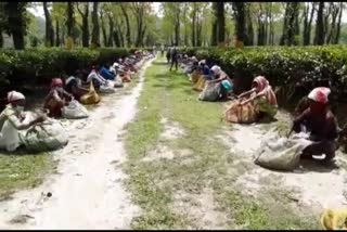 Tea garden teachers initiative at nonoi tea estate at nagaon