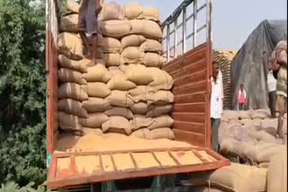 fraud in wheat karnal warehouses