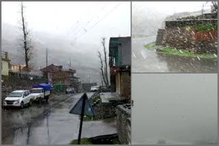 Fresh snowfall in Rohtang