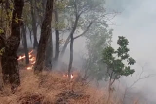 dehradun