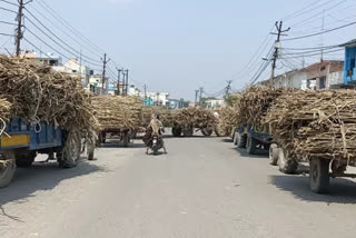 किसान की दर्दनाक मौत