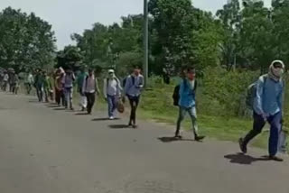 od_31 Jharkhand workers marched from Kotia to their village