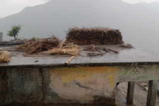 rain in poanta sahib