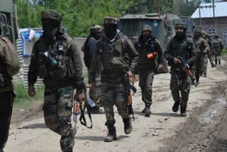 Massive search operation along International Border in JK's Kathua