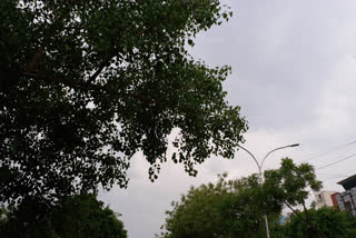 rains with strong winds in noida