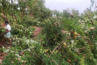 Rain at Kushtagi of Haveri