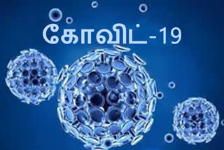 COVID-19 status in chennai