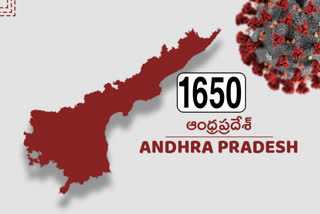 67 more  corona cases found in andhrapradesh