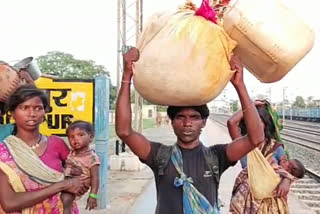 Laborers reached Birsinghpur Pali from Bilaspur