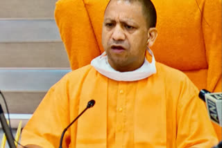 yogi government