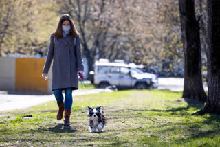 Amid Moscow lockdown, some dogs find new homes and friends