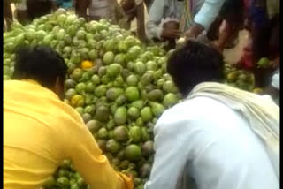 ಬದನೆಕಾಯಿ ರಸ್ತೆಗೆಸೆದ ರೈತ