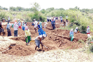 Kavadimatti panchayat give job to poor workers