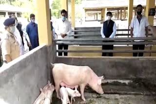 CM visit National Research Centre Pig