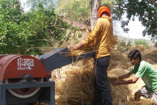 crop kept in the field destroyed by rain