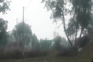 farmers-problems-facing-due-to-increased-rain-and-hailstorm-in-bilaspur