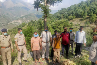 illegal poppy crops in chamba