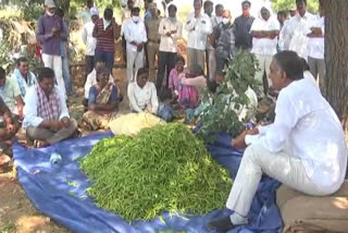 minister harish rao toured in chinnakoduru