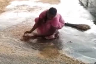 grains drenched in Bhuvanagiri market yard due to sudden rain