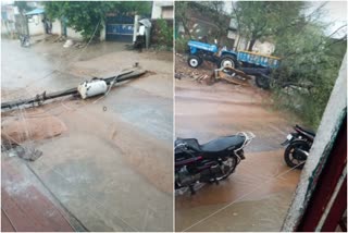 sudden rain in warangal and current polls trees down fall