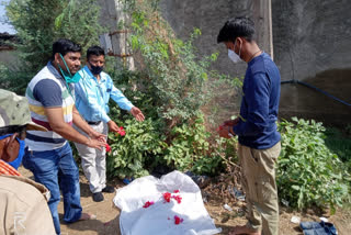 Peacock died due to electrocution in Datia