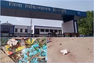 negligence-regarding-cleanliness-in-shivpuri-district-hospital