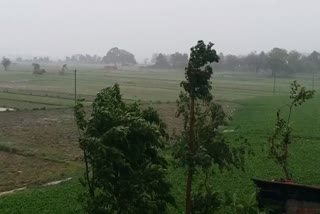 Heavy rain in Sahibganj