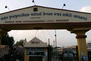 bhavnagar marketing yard