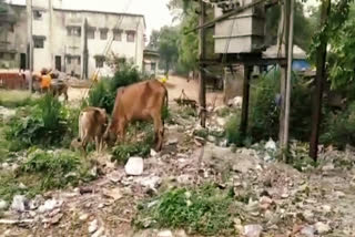 garbage filled near CHC in ranchi