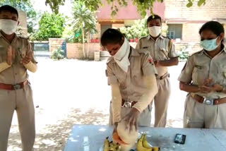 खरबूजा काटकर मनाया जन्मदिन, women constable celebrated birthday, जोधपुर न्यूजखरबूजा काटकर मनाया जन्मदिन, women constable celebrated birthday, जोधपुर न्यूज