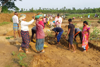 nrega scheme helps to poor to overcome in Lockdown at Shivamogga