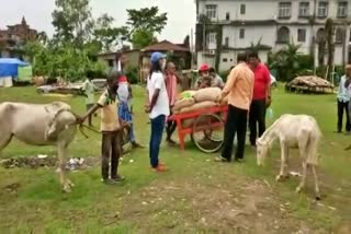 mla dilip paul donated relief to the stucked animals in silchar gandhi mela