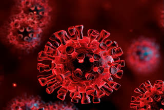 coronavirus