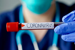 corona virus