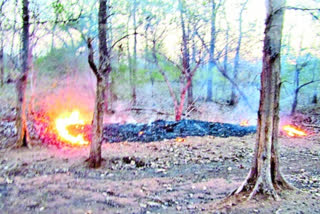 FIRE ACCIDENT IN ADILABAD FOREST