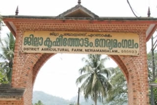 കോതമംഗലം -നേര്യമംഗലം ജില്ല കൃഷിതോട്ടം  kothamangalam neryamangalam agriculture farm  ചാരായ വാഷ് പിടിച്ചെടുത്തു  arrack seized at agriculture farm