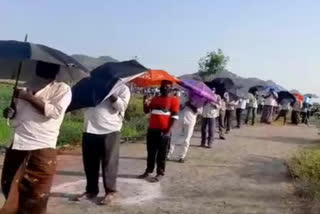 umbrella-in-must-to-drinkers-to-buy-a-liquor-at-gunturu-district